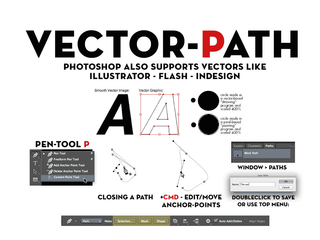 vector – path