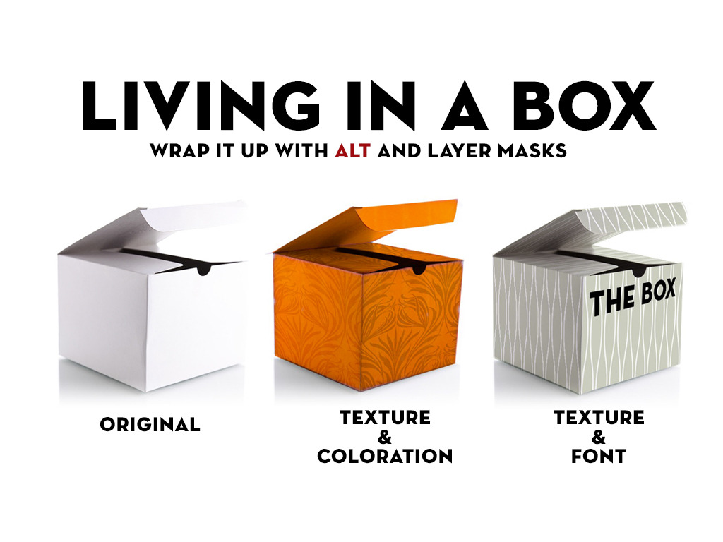 living in a box