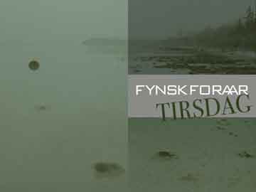fynsk foraar