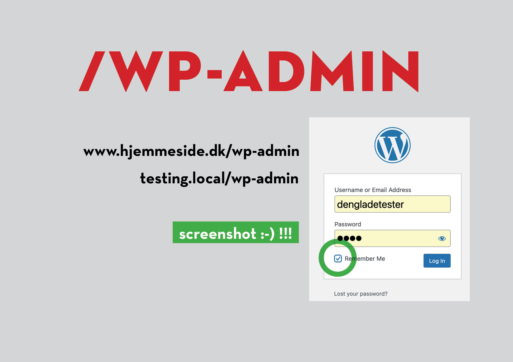wp-admin